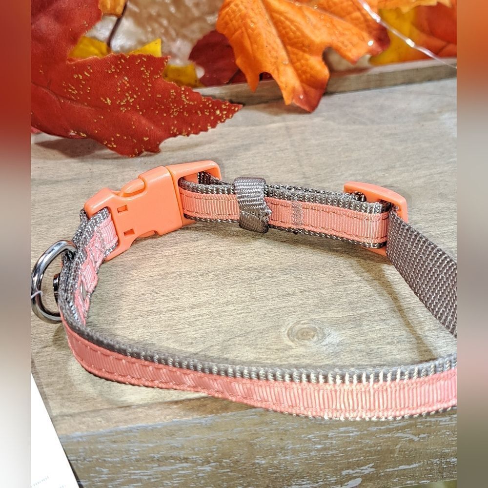 NWT Martha Stewart Dog Collar pet collar - Picture 2 of 9